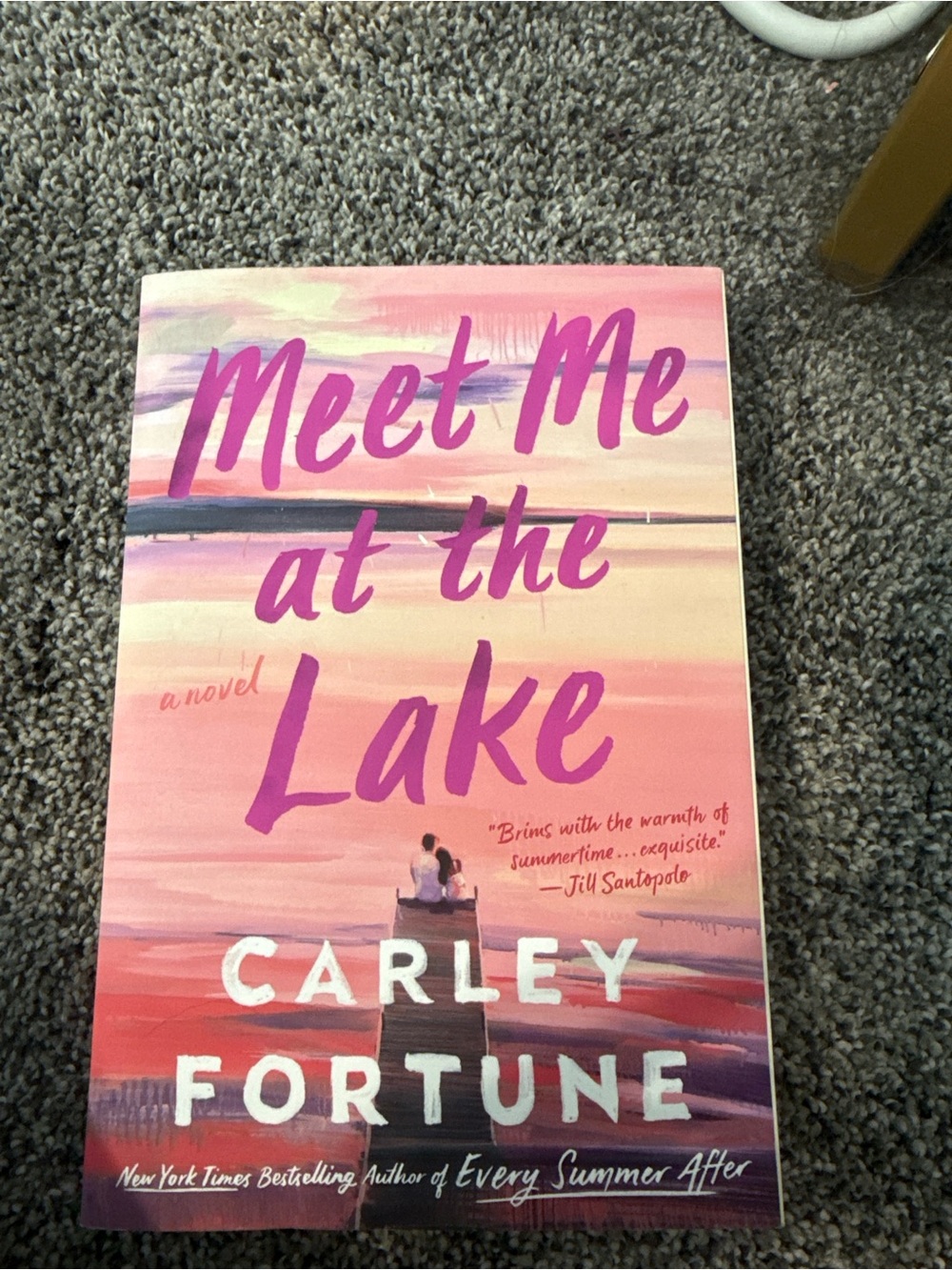 'Meet Me at the Lake' book